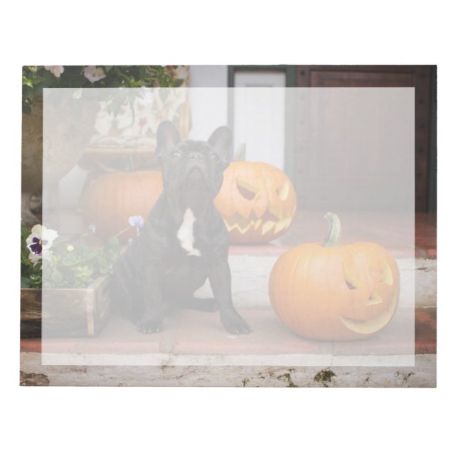 Cutest Baby Animals | French Bulldog Halloween Notepad (Front)