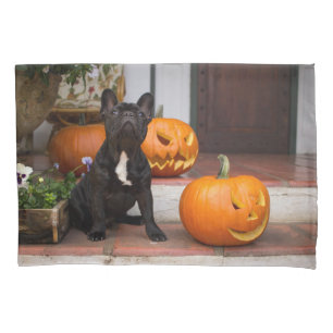 Cutest Baby Animals French Bulldog Halloween Pillowcase