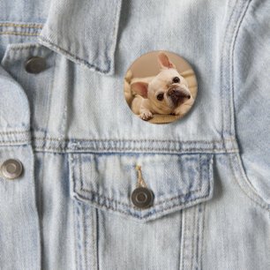 Cutest Baby Animals   French Bulldog Head Tilt 6 Cm Round Badge