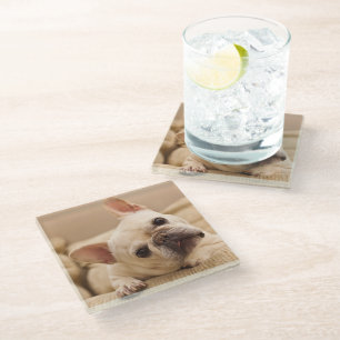 Cutest Baby Animals French Bulldog Head Tilt Glass Coaster