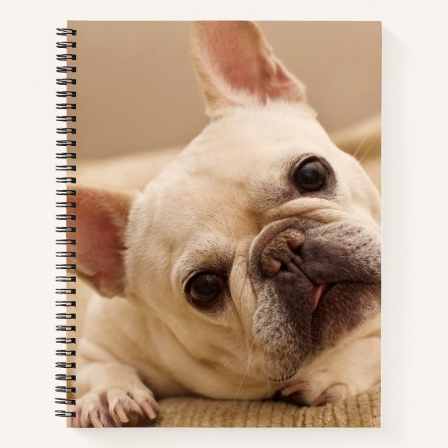 Cutest Baby Animals | French Bulldog Head Tilt Notebook (Front)