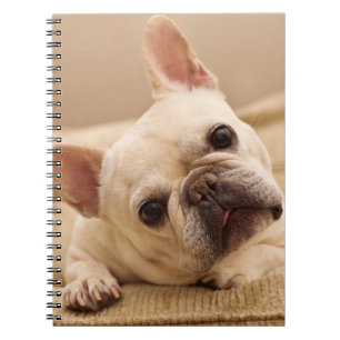 Cutest Baby Animals French Bulldog Head Tilt Notebook