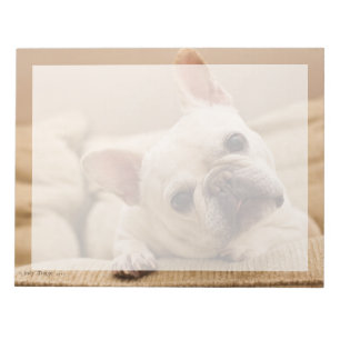 Cutest Baby Animals French Bulldog Head Tilt Notepad