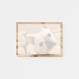 Cutest Baby Animals French Bulldog Head Tilt Post-it Notes