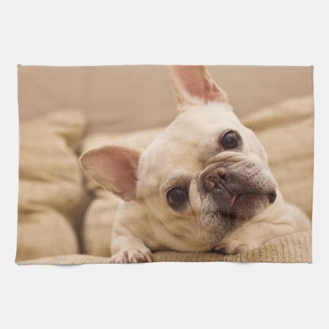 Cutest Baby Animals | French Bulldog Head Tilt Tea Towel (Horizontal)