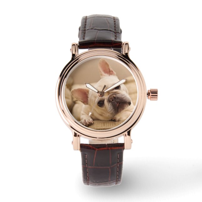 Cutest Baby Animals | French Bulldog Head Tilt Watch (Front)