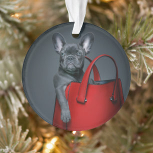 Cutest Baby Animals French Bulldog in Handbag Ornament