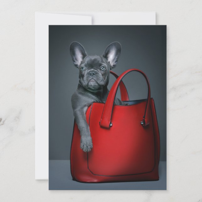 Cutest Baby Animals | French Bulldog in Handbag Thank You Card (Front)