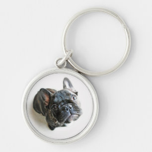 Cutest Baby Animals   French Bulldog Look Up Key Ring