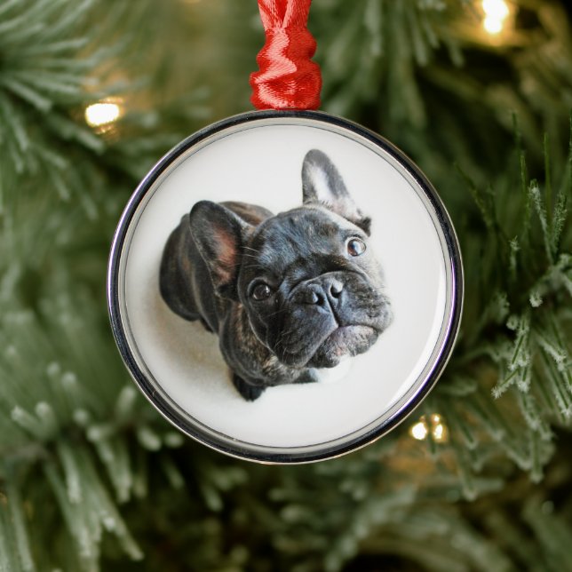 Cutest Baby Animals | French Bulldog Look Up Metal Ornament (Tree)
