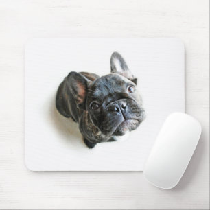 Cutest Baby Animals   French Bulldog Look Up Mouse Pad