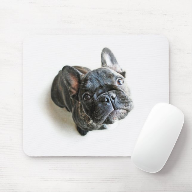 Cutest Baby Animals | French Bulldog Look Up Mouse Pad (With Mouse)