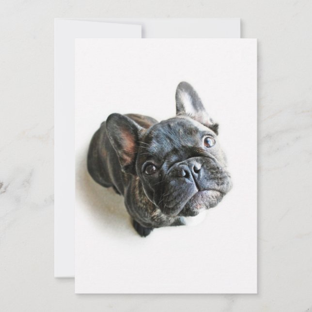 Cutest Baby Animals | French Bulldog Look Up Thank You Card (Front)