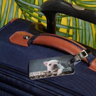 Cutest Baby Animals French Bulldog Luggage Tag