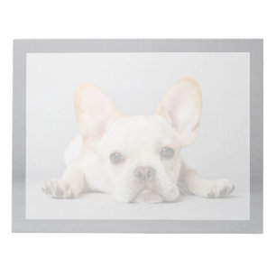 Cutest Baby Animals   French Bulldog Lying Down Notepad