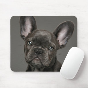 Cutest Baby Animals   French Bulldog Mouse Pad