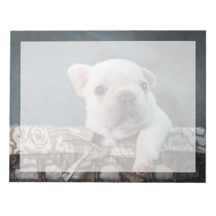 Cutest Baby Animals   French Bulldog Notepad