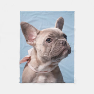 Cutest Baby Animals   French Bulldog Pink Bow Fleece Blanket