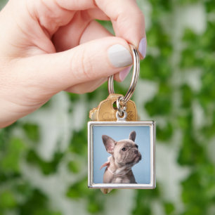 Cutest Baby Animals   French Bulldog Pink Bow Key Ring
