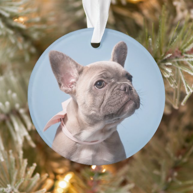 Cutest Baby Animals | French Bulldog Pink Bow Ornament (Tree)