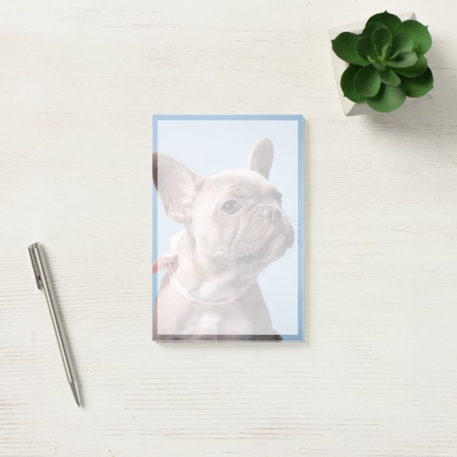 Cutest Baby Animals | French Bulldog Pink Bow Post-it Notes (Office)
