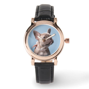 Cutest Baby Animals   French Bulldog Pink Bow Watch