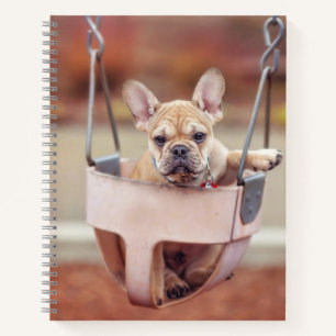Cutest Baby Animals French Bulldog Playground Notebook
