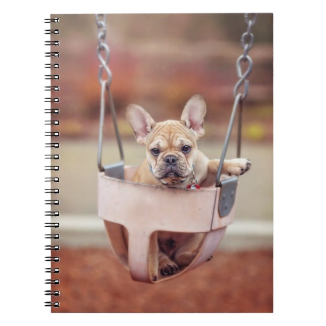 Cutest Baby Animals | French Bulldog Playground Notebook (Front)