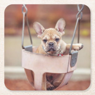 Cutest Baby Animals   French Bulldog Playground Square Paper Coaster