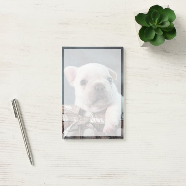 Cutest Baby Animals | French Bulldog Post-it Notes (Office)