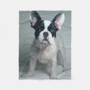 Cutest Baby Animals   French Bulldog Puppy Fleece Blanket