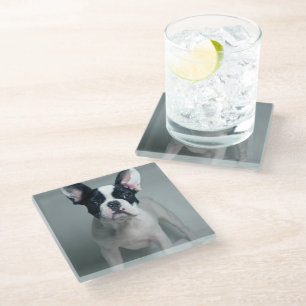 Cutest Baby Animals French Bulldog Puppy Glass Coaster