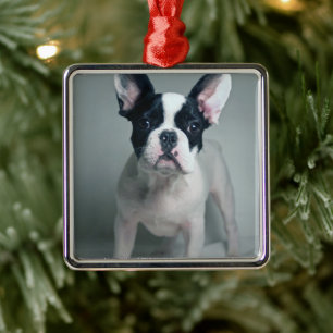 Cutest Baby Animals French Bulldog Puppy Metal Ornament