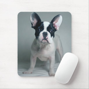 Cutest Baby Animals   French Bulldog Puppy Mouse Pad