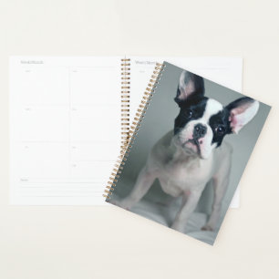 Cutest Baby Animals French Bulldog Puppy Planner