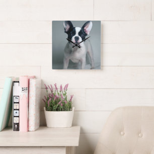Cutest Baby Animals   French Bulldog Puppy Square Wall Clock