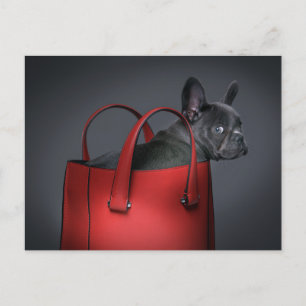 Cutest Baby Animals French Bulldog Red Hand Bag Postcard