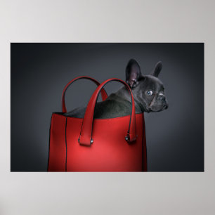 Cutest Baby Animals French Bulldog Red Hand Bag Poster