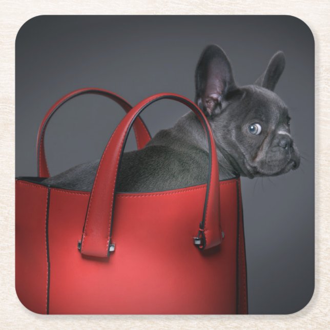 Cutest Baby Animals | French Bulldog Red Hand Bag Square Paper Coaster (Front)
