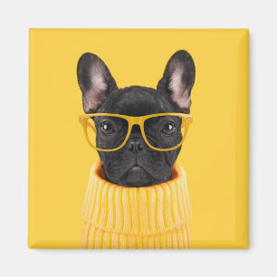 Cutest Baby Animals French Bulldog Sunglasses Magnet