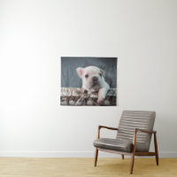 Cutest Baby Animals | French Bulldog