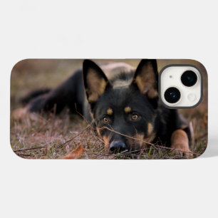 Cutest Baby Animals   German Shepherd Puppy Case-Mate iPhone 14 Case