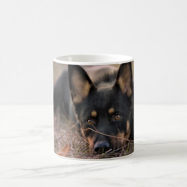 Cutest Baby Animals | German Shepherd Puppy Coffee Mug (Center)