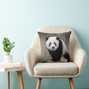 Cutest Baby Animals Giant Panda Baby Cushion