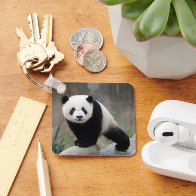 Cutest Baby Animals | Giant Panda Baby Key Ring (Desk)