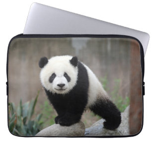 Cutest Baby Animals Giant Panda Baby Laptop Sleeve