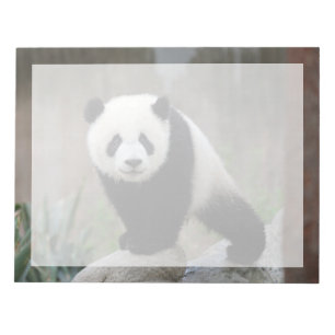 Cutest Baby Animals Giant Panda Baby Notepad