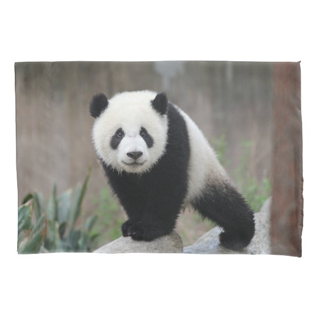 Cutest Baby Animals | Giant Panda Baby Pillowcase (Front)