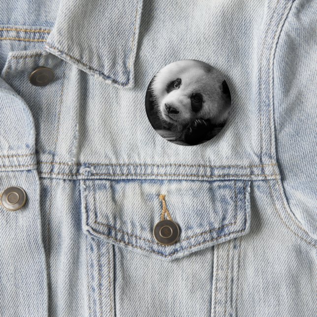 Cutest Baby Animals | Giant Panda Bear Cub 6 Cm Round Badge (In Situ)