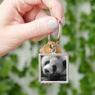 Cutest Baby Animals   Giant Panda Bear Cub Key Ring